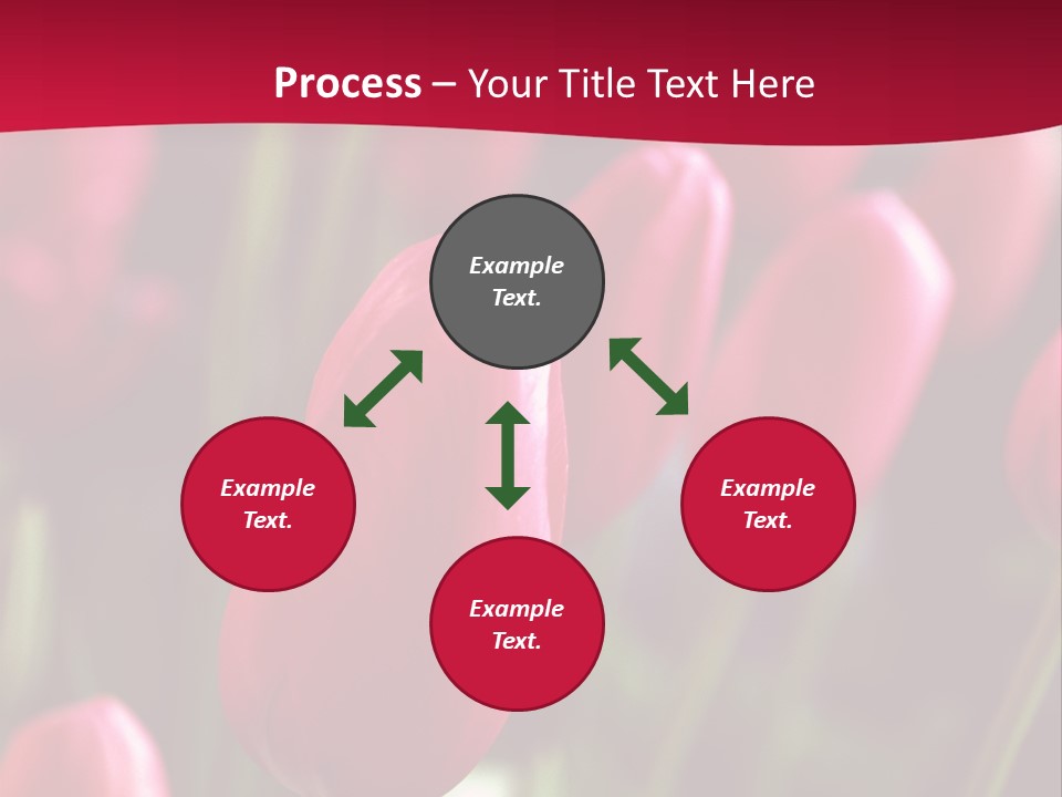 Colour Spring Tulip PowerPoint Template