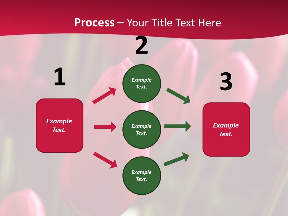 Colour Spring Tulip PowerPoint Template