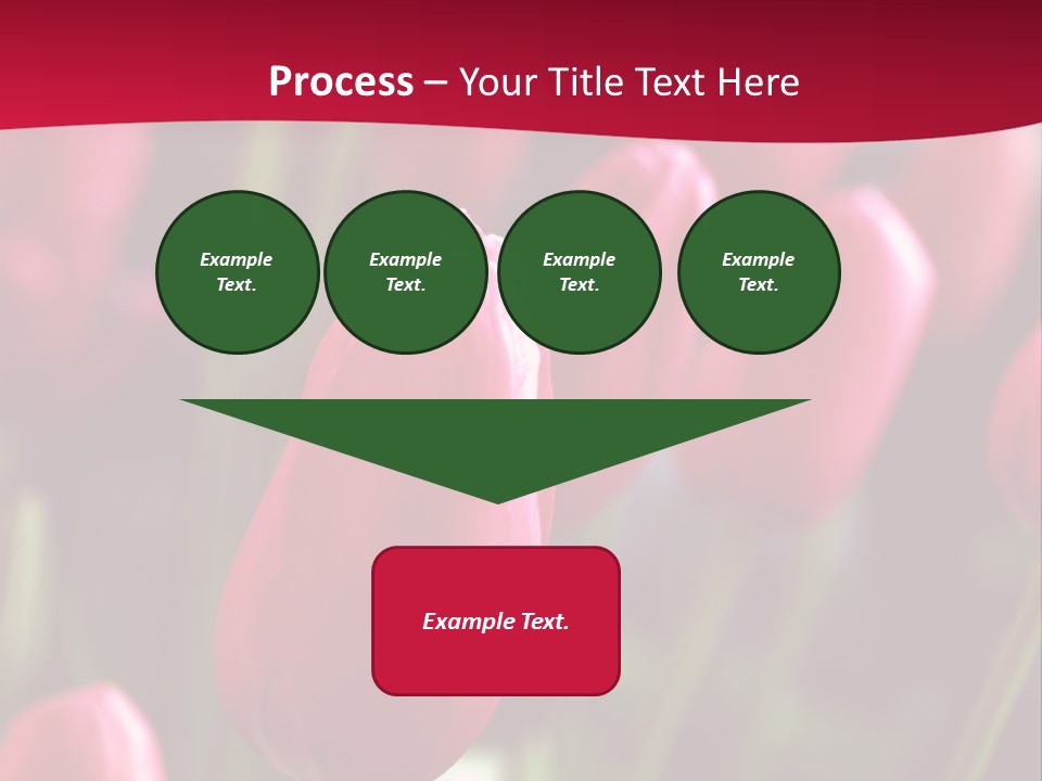 Colour Spring Tulip PowerPoint Template