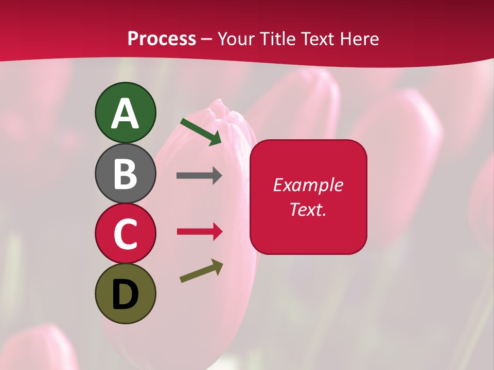 Colour Spring Tulip PowerPoint Template