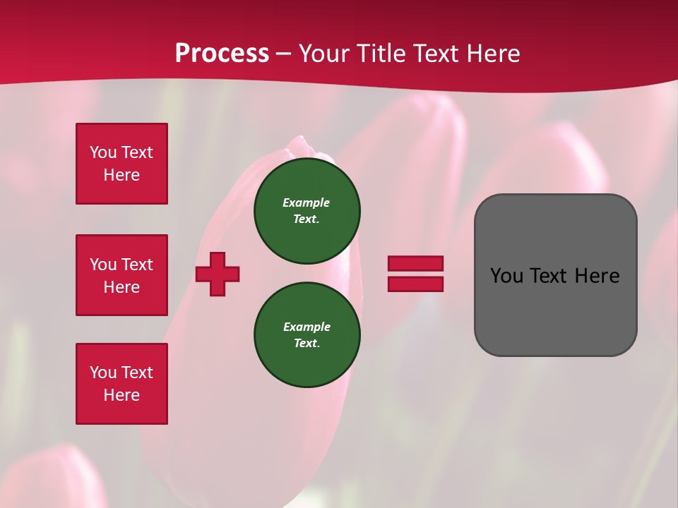 Colour Spring Tulip PowerPoint Template
