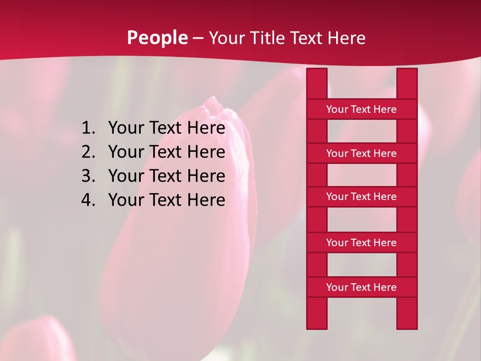 Colour Spring Tulip PowerPoint Template