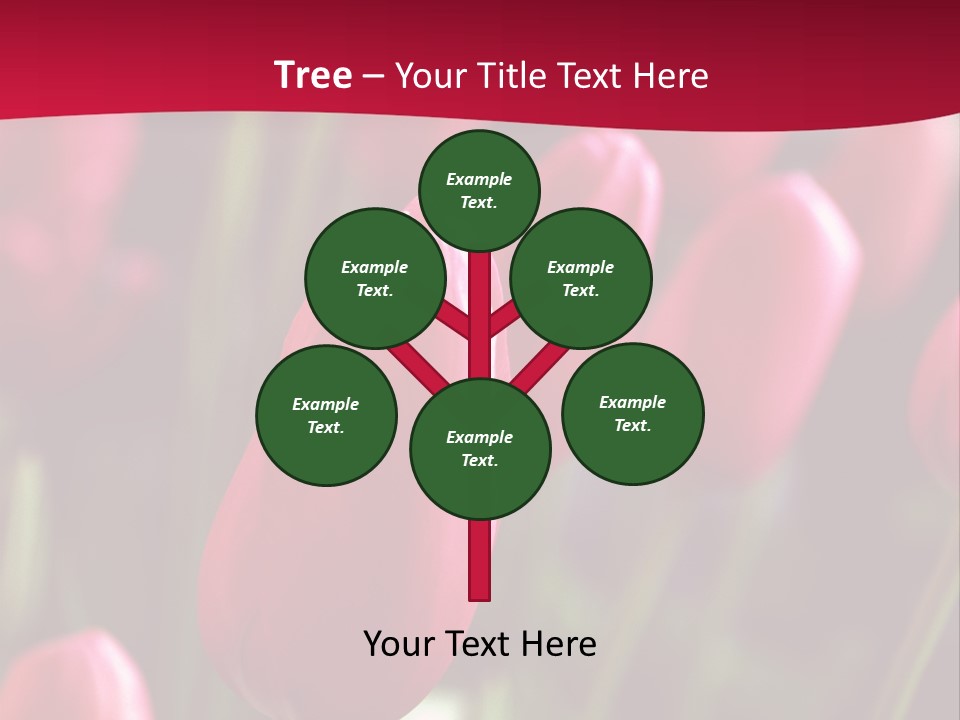 Colour Spring Tulip PowerPoint Template