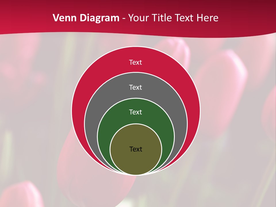 Colour Spring Tulip PowerPoint Template