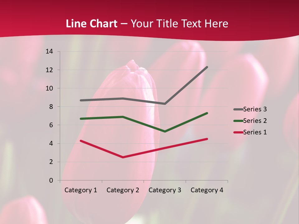 Colour Spring Tulip PowerPoint Template