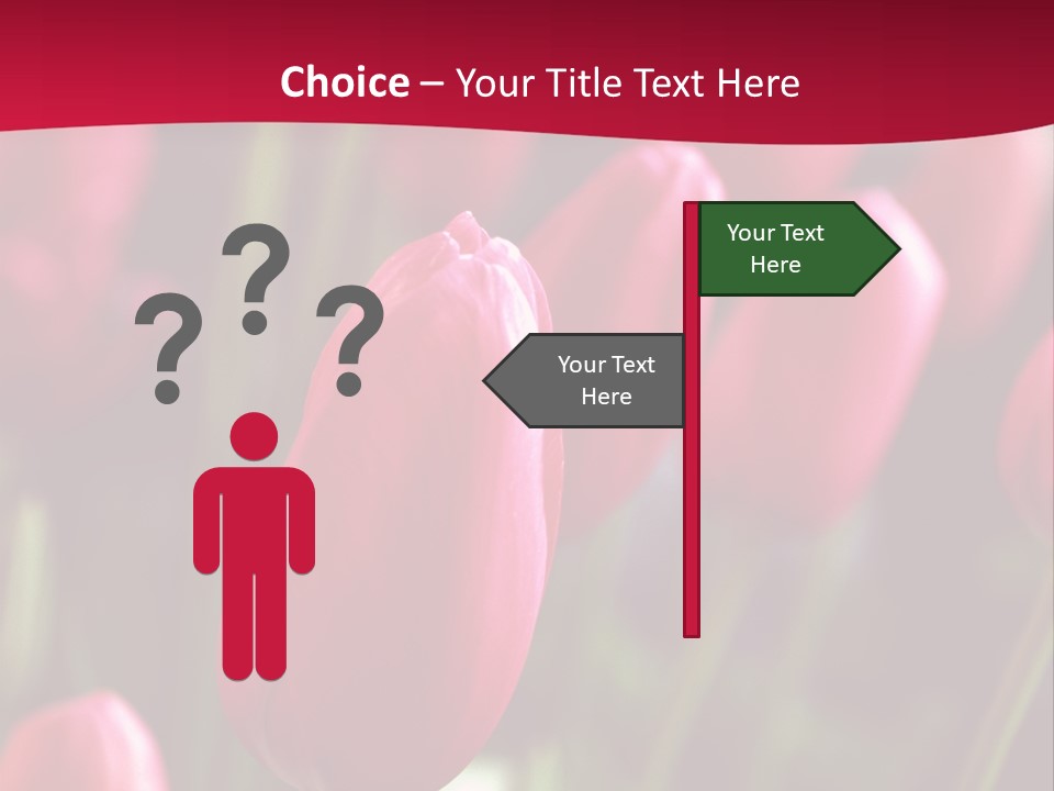 Colour Spring Tulip PowerPoint Template