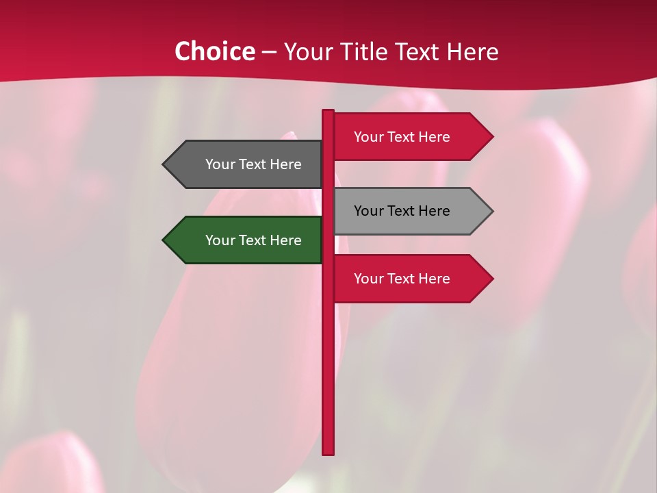 Colour Spring Tulip PowerPoint Template