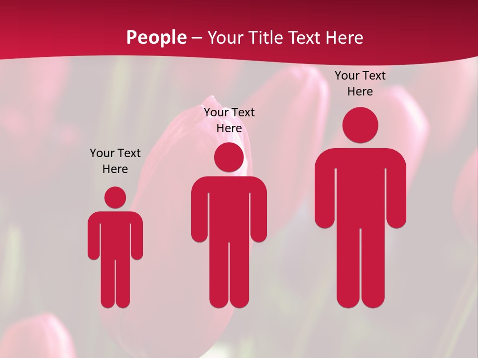 Colour Spring Tulip PowerPoint Template