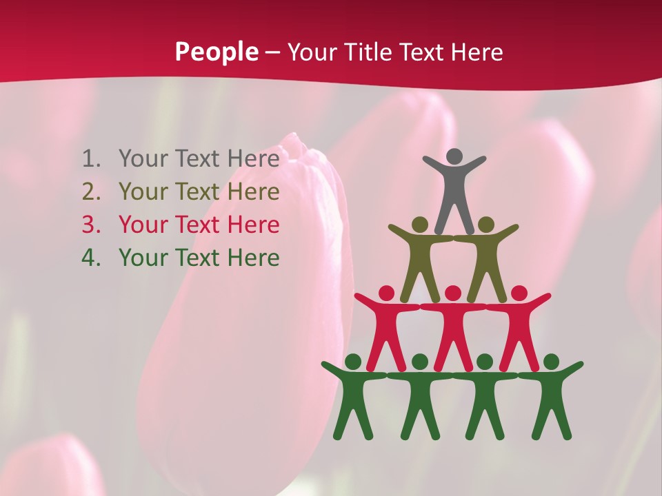 Colour Spring Tulip PowerPoint Template