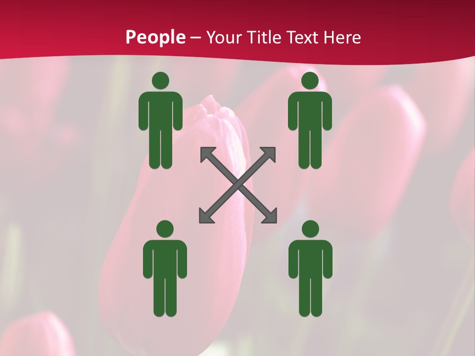 Colour Spring Tulip PowerPoint Template