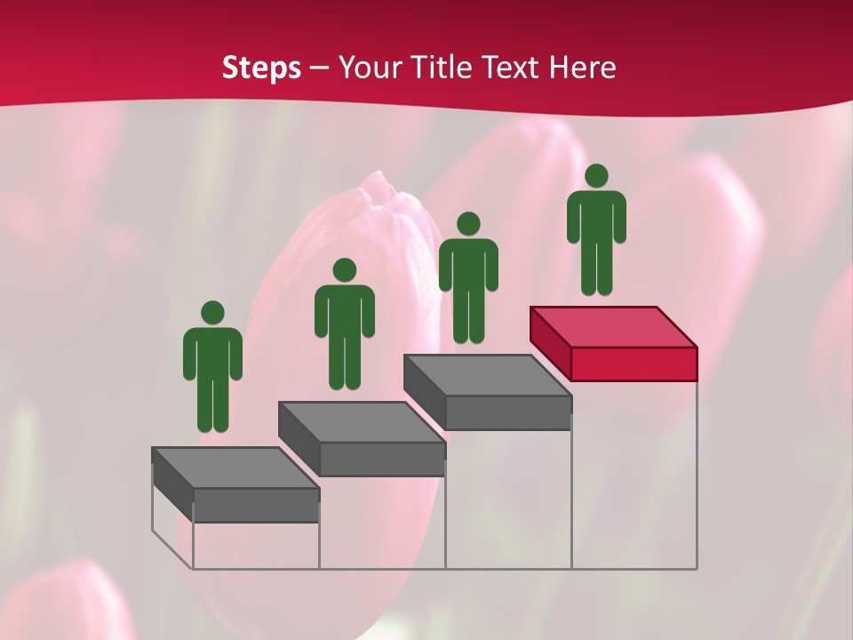 Colour Spring Tulip PowerPoint Template