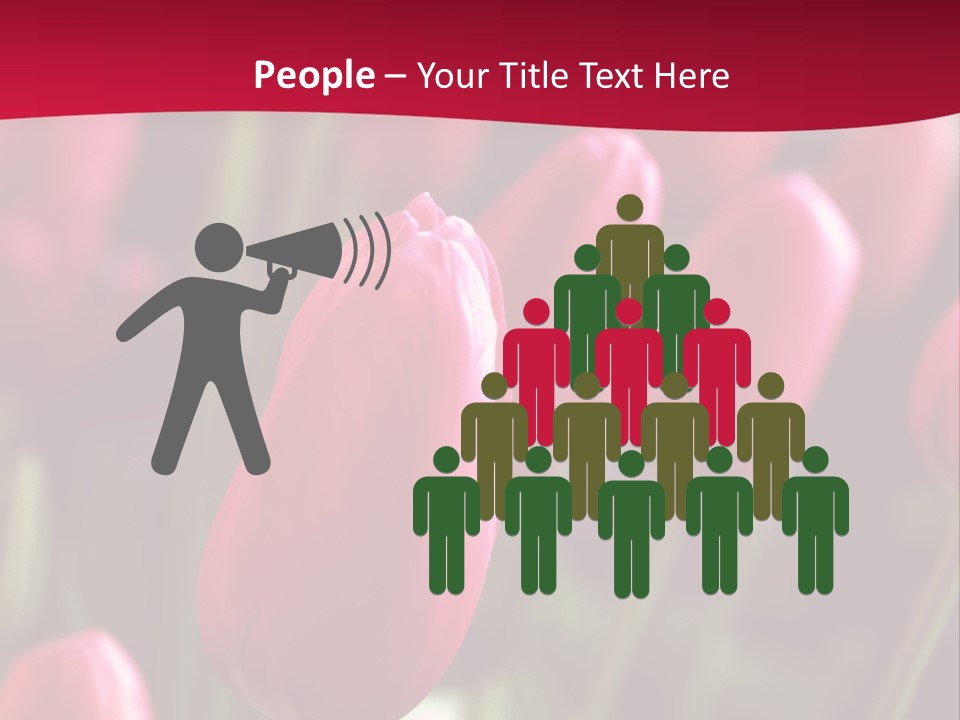 Colour Spring Tulip PowerPoint Template