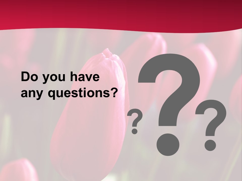 Colour Spring Tulip PowerPoint Template