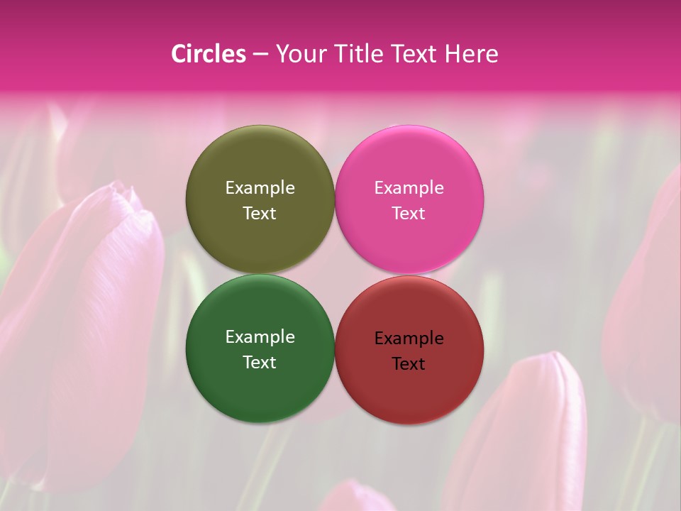 Easter Magenta Mother PowerPoint Template