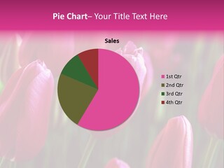 Easter Magenta Mother PowerPoint Template