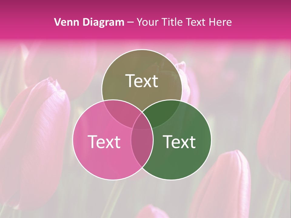 Easter Magenta Mother PowerPoint Template