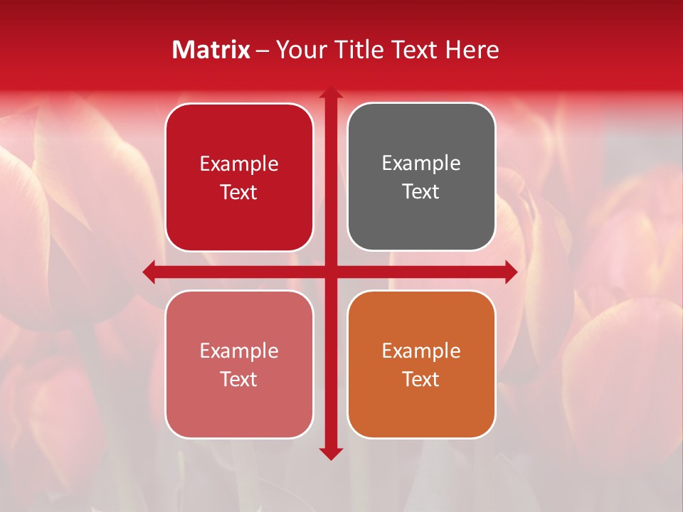 June Colour Bulb PowerPoint Template