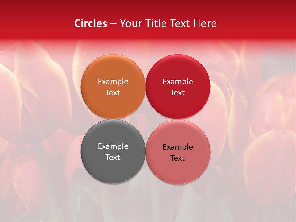 June Colour Bulb PowerPoint Template