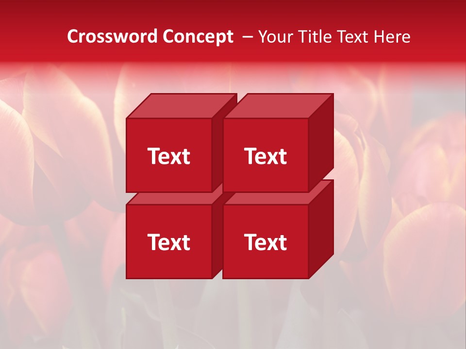 June Colour Bulb PowerPoint Template