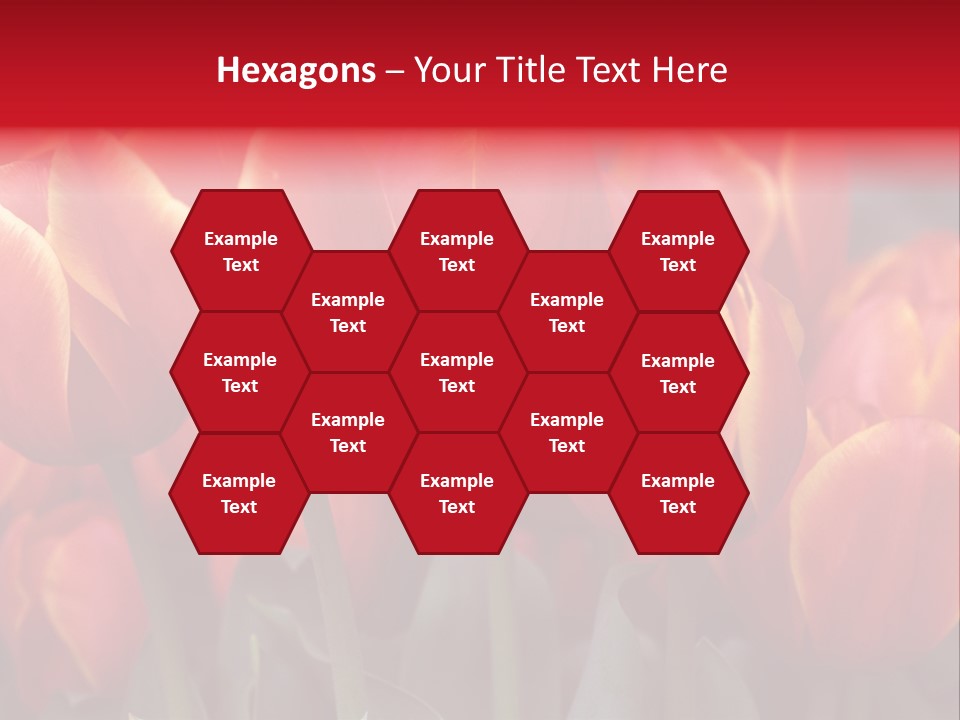 June Colour Bulb PowerPoint Template