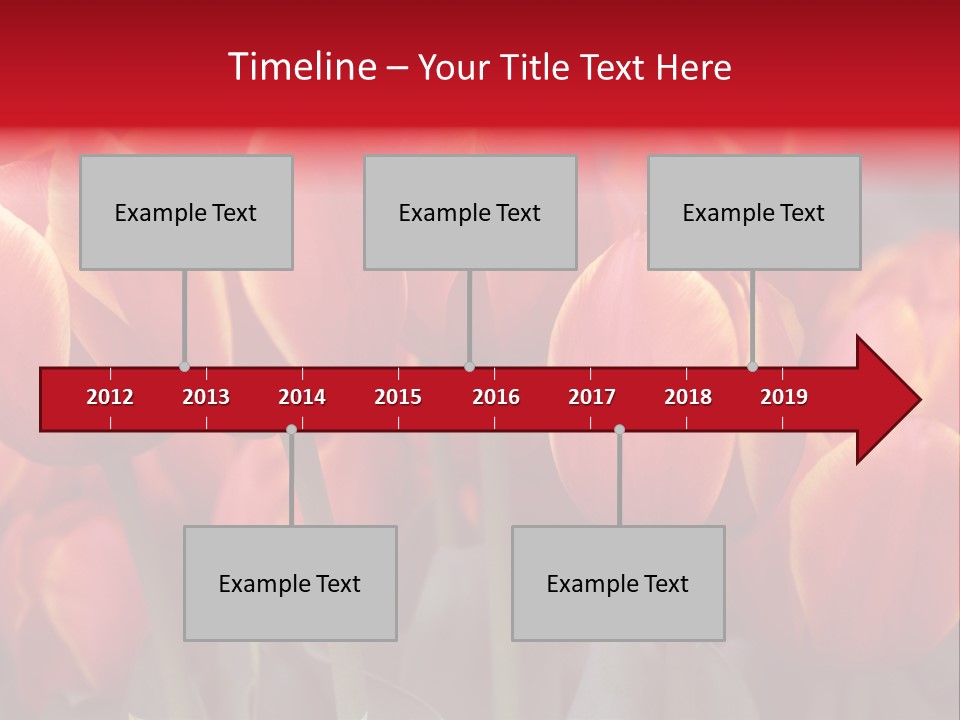 June Colour Bulb PowerPoint Template