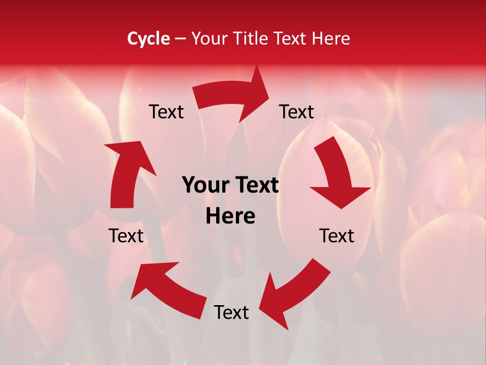 June Colour Bulb PowerPoint Template