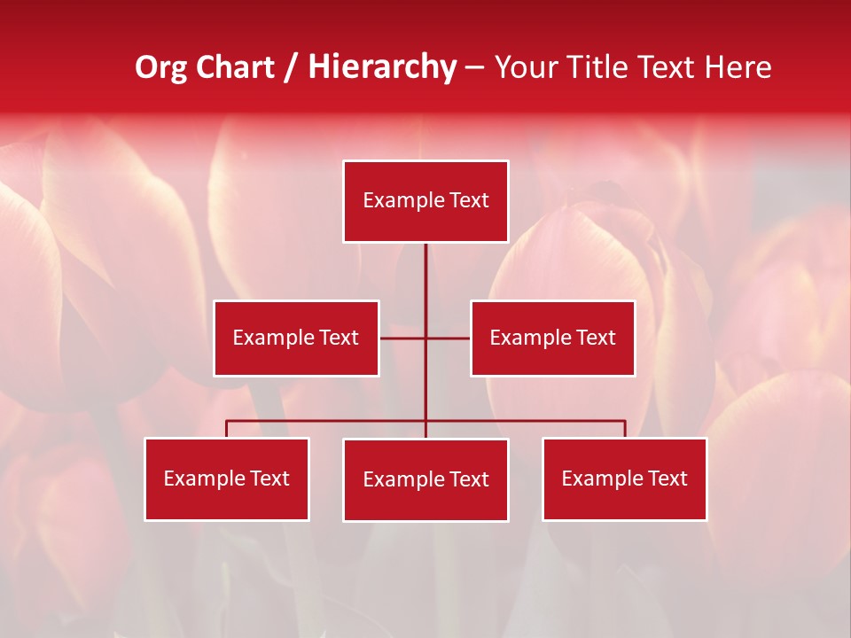 June Colour Bulb PowerPoint Template