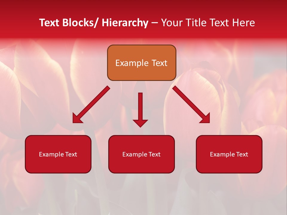 June Colour Bulb PowerPoint Template