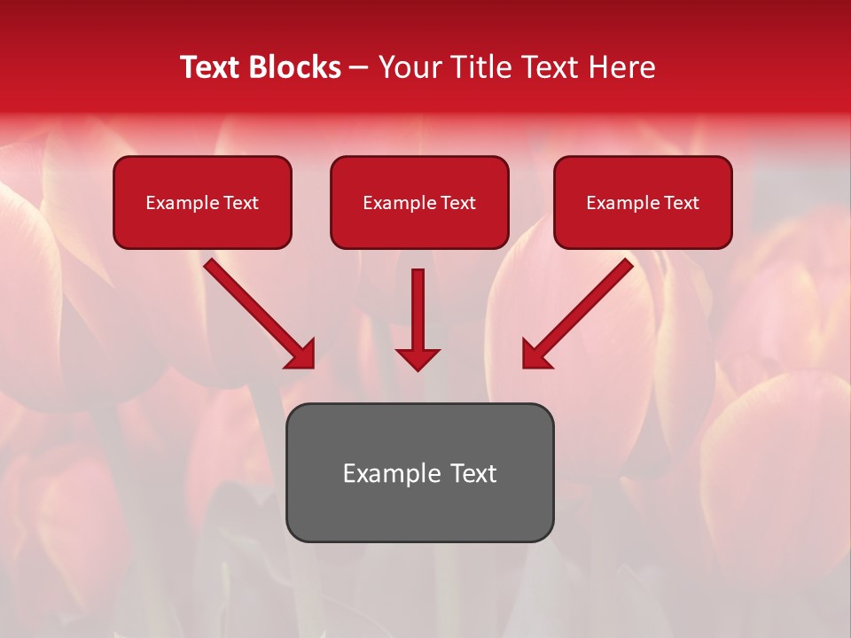 June Colour Bulb PowerPoint Template