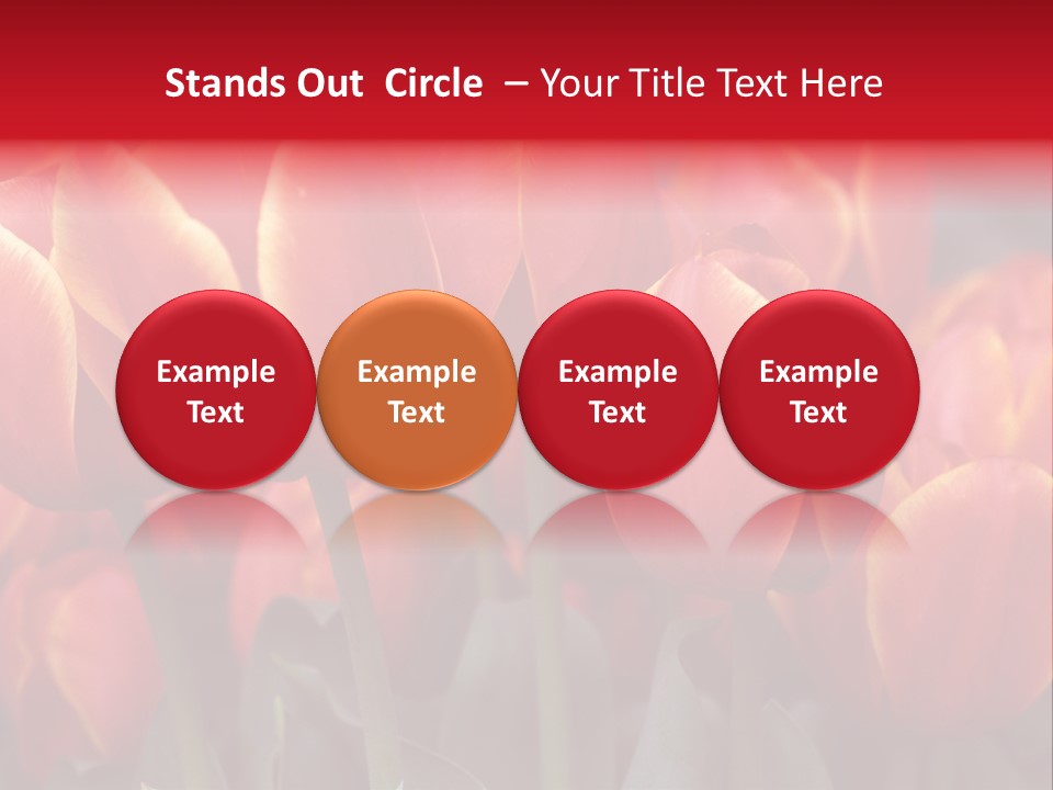 June Colour Bulb PowerPoint Template