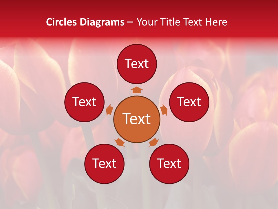 June Colour Bulb PowerPoint Template