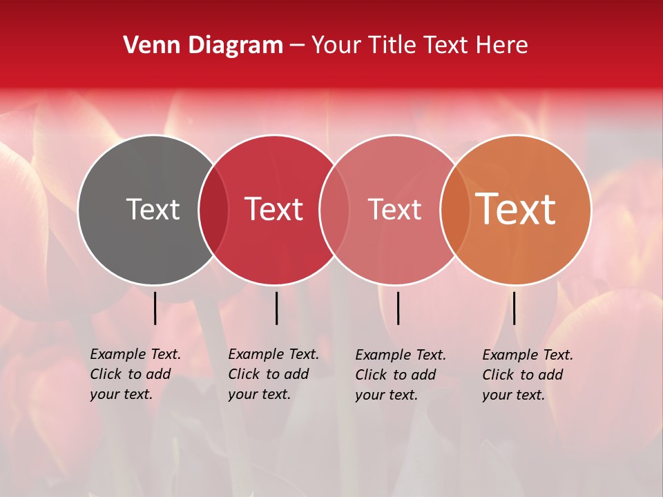 June Colour Bulb PowerPoint Template