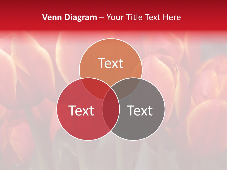 June Colour Bulb PowerPoint Template