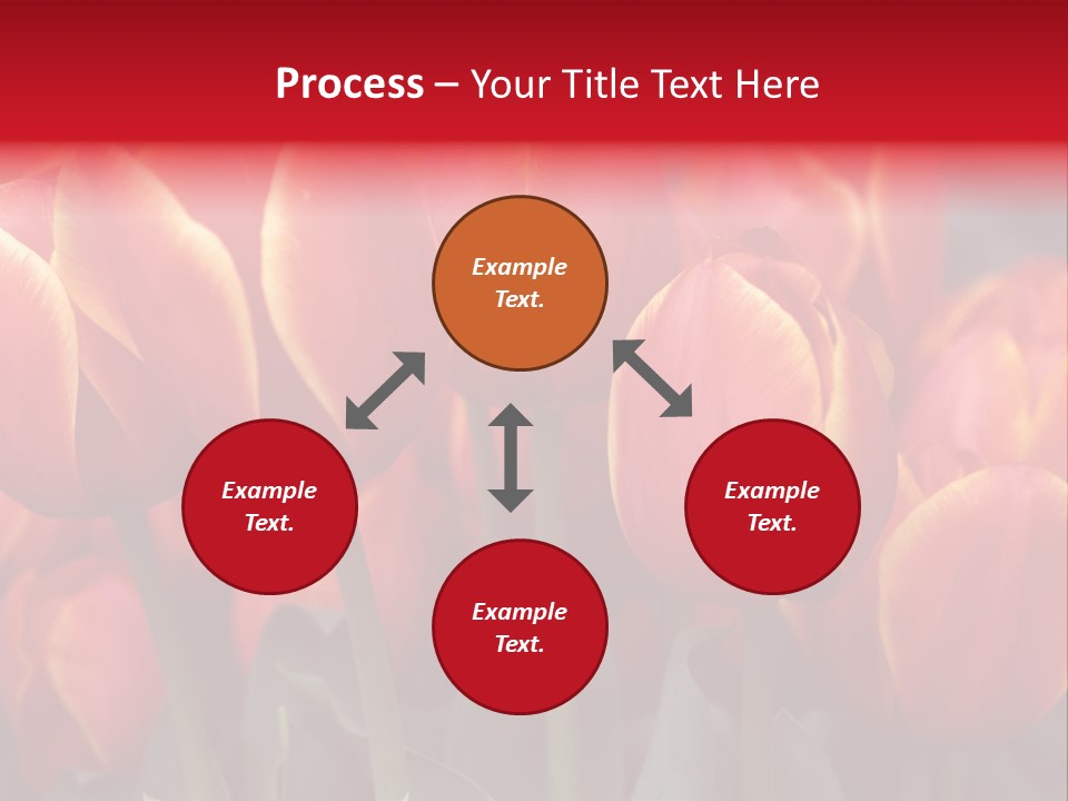 June Colour Bulb PowerPoint Template