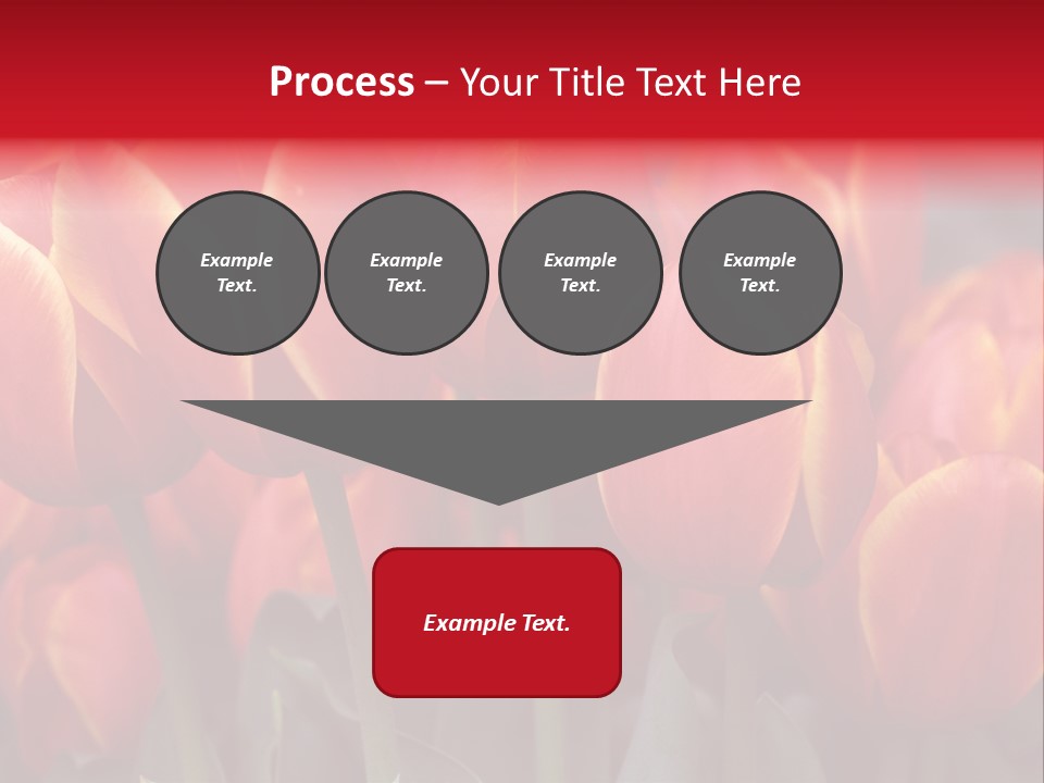 June Colour Bulb PowerPoint Template