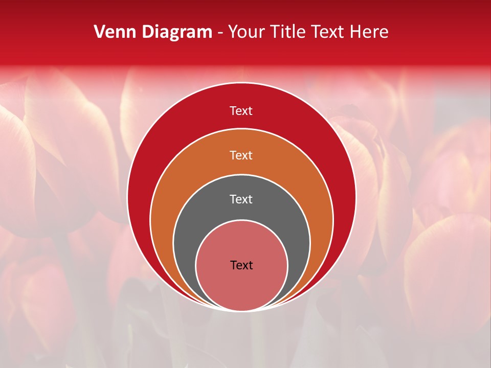 June Colour Bulb PowerPoint Template