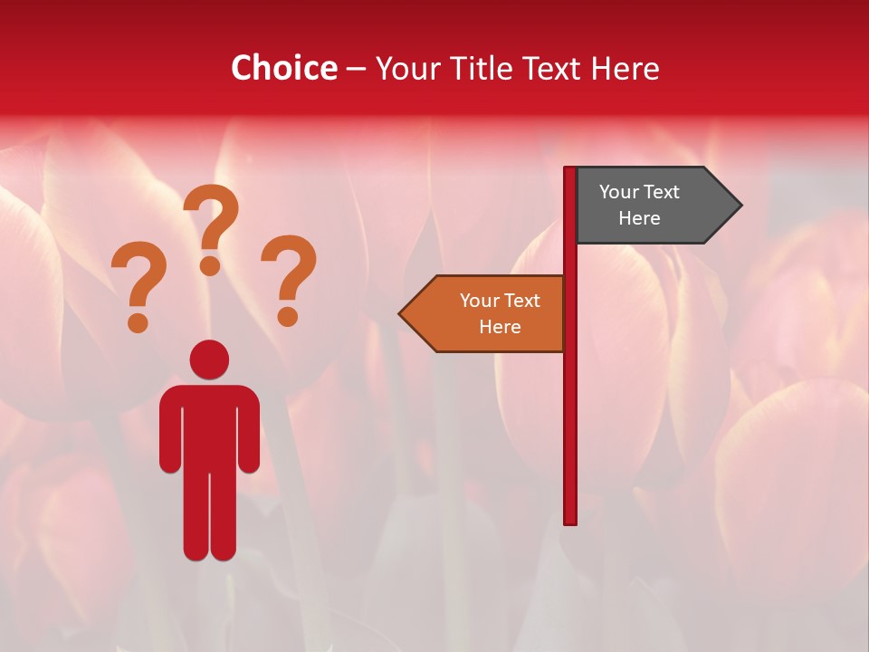 June Colour Bulb PowerPoint Template