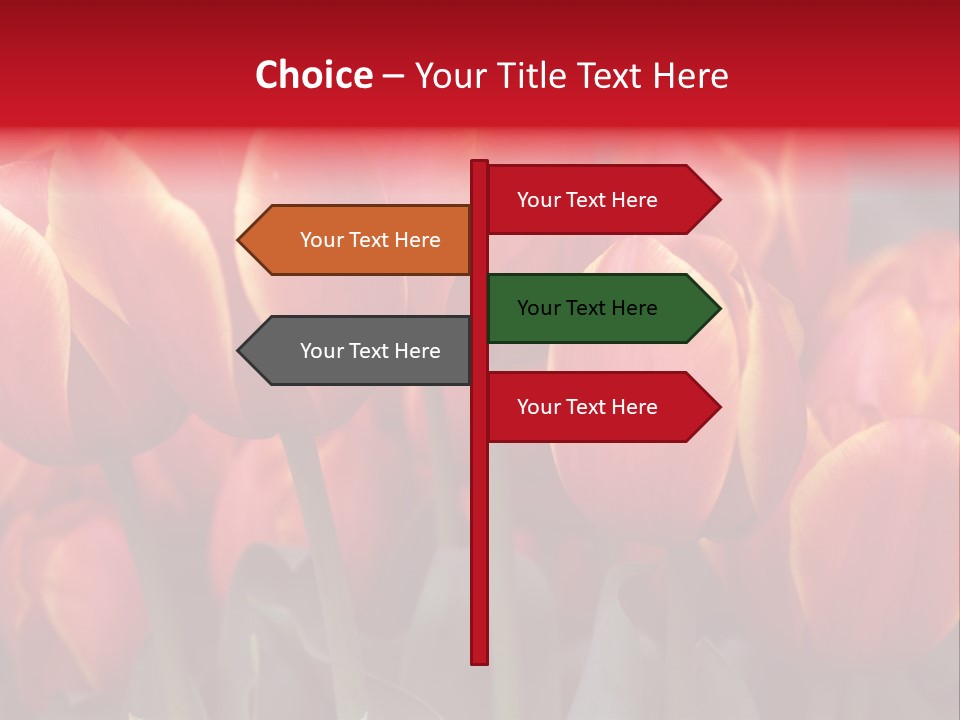 June Colour Bulb PowerPoint Template