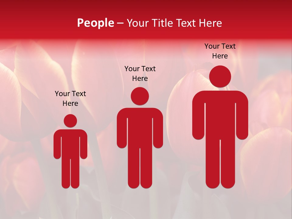 June Colour Bulb PowerPoint Template