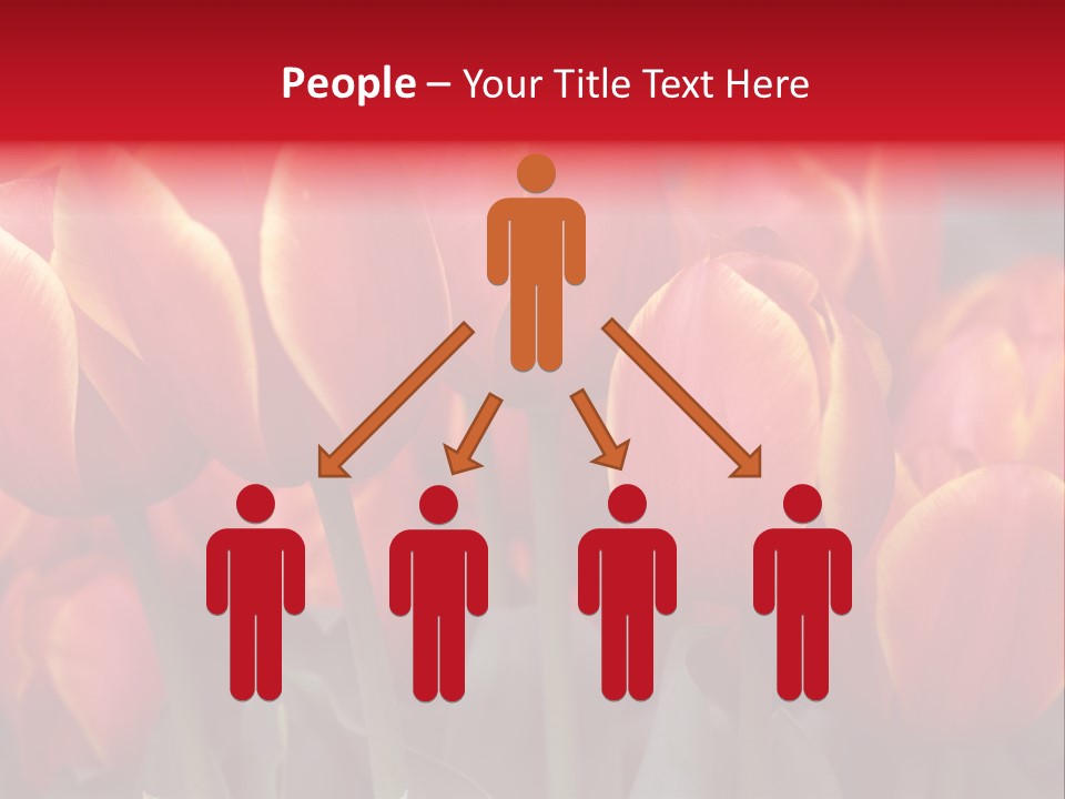 June Colour Bulb PowerPoint Template