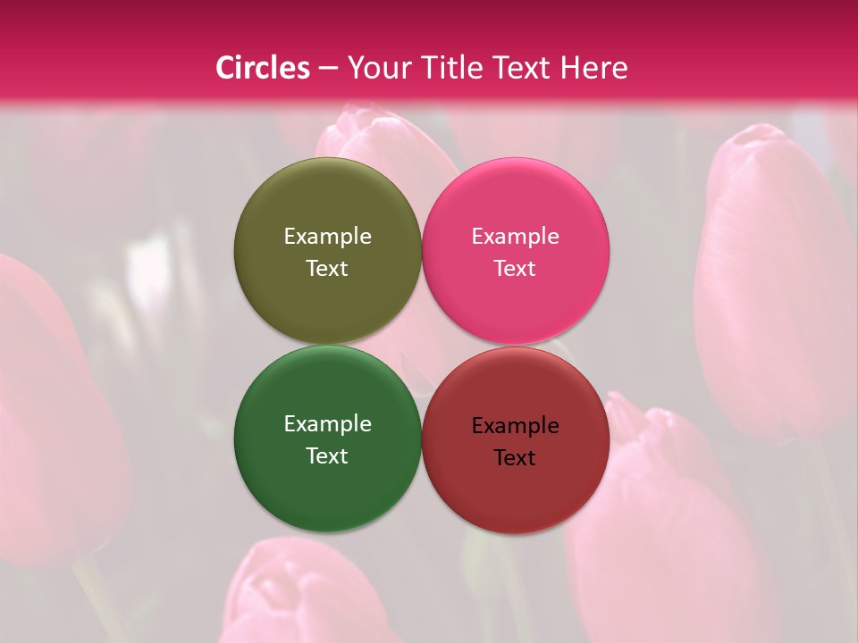 April Natural Tulip PowerPoint Template
