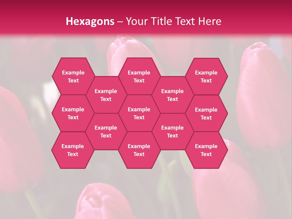 April Natural Tulip PowerPoint Template