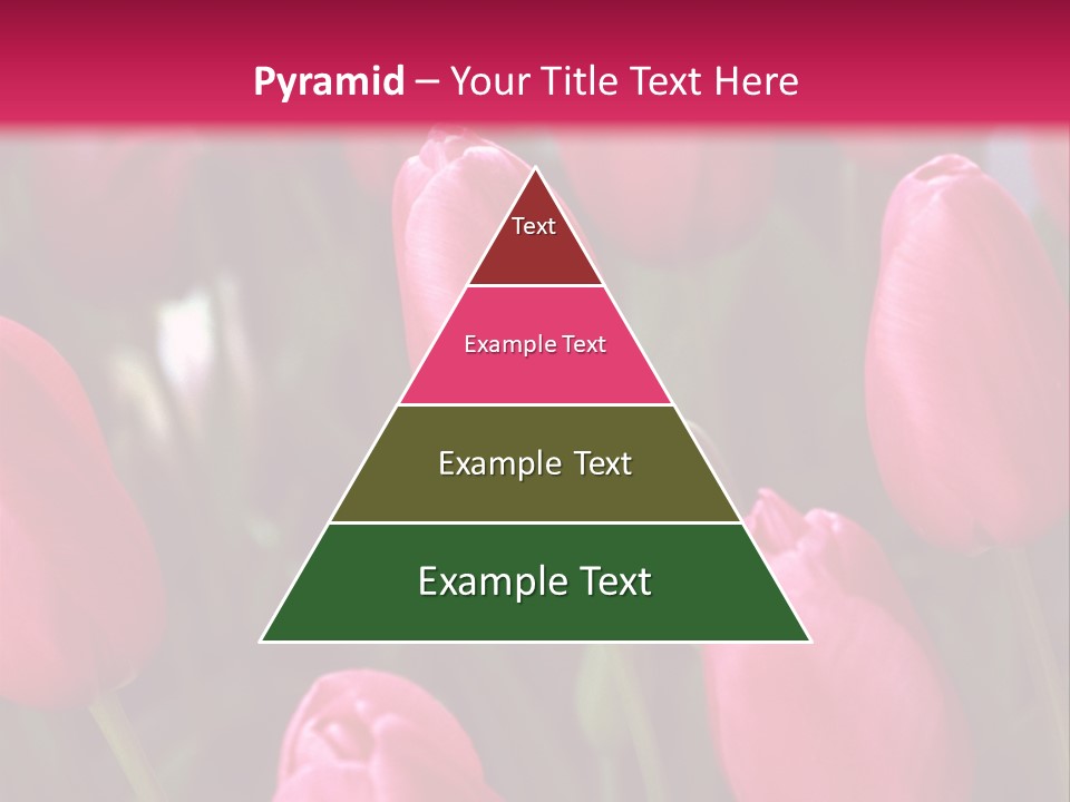 April Natural Tulip PowerPoint Template