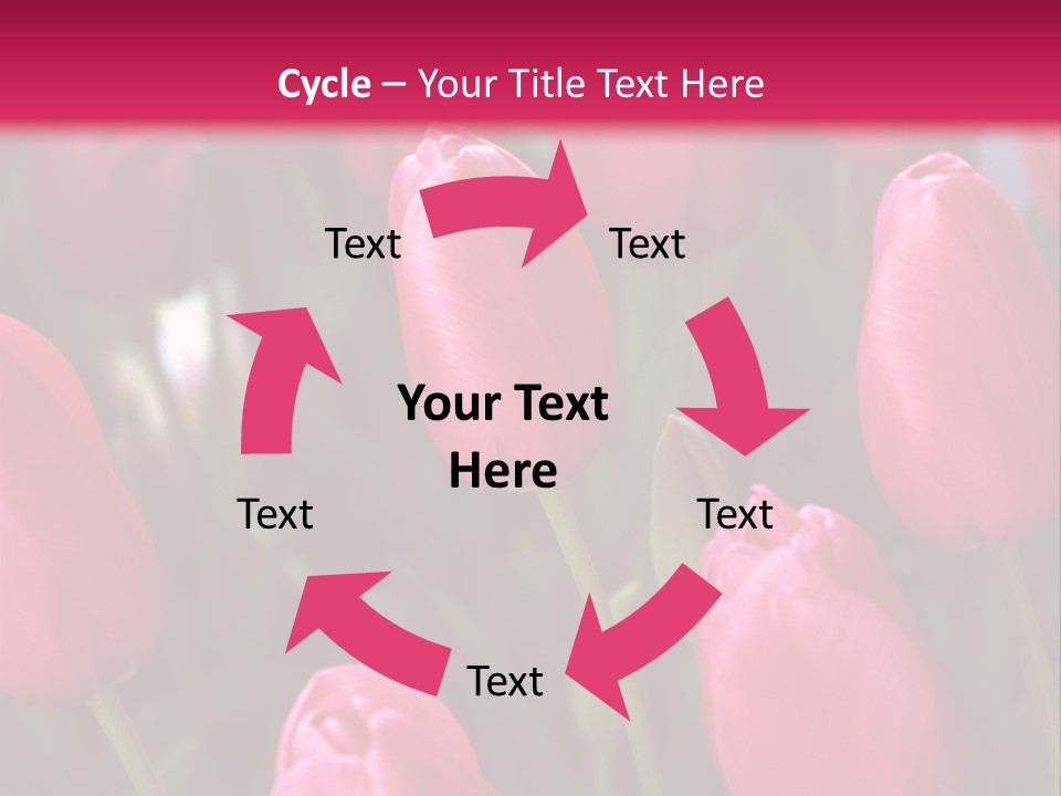 April Natural Tulip PowerPoint Template