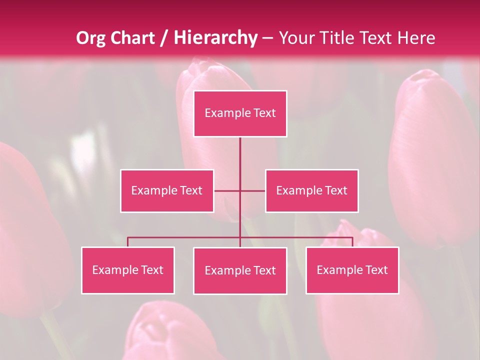 April Natural Tulip PowerPoint Template