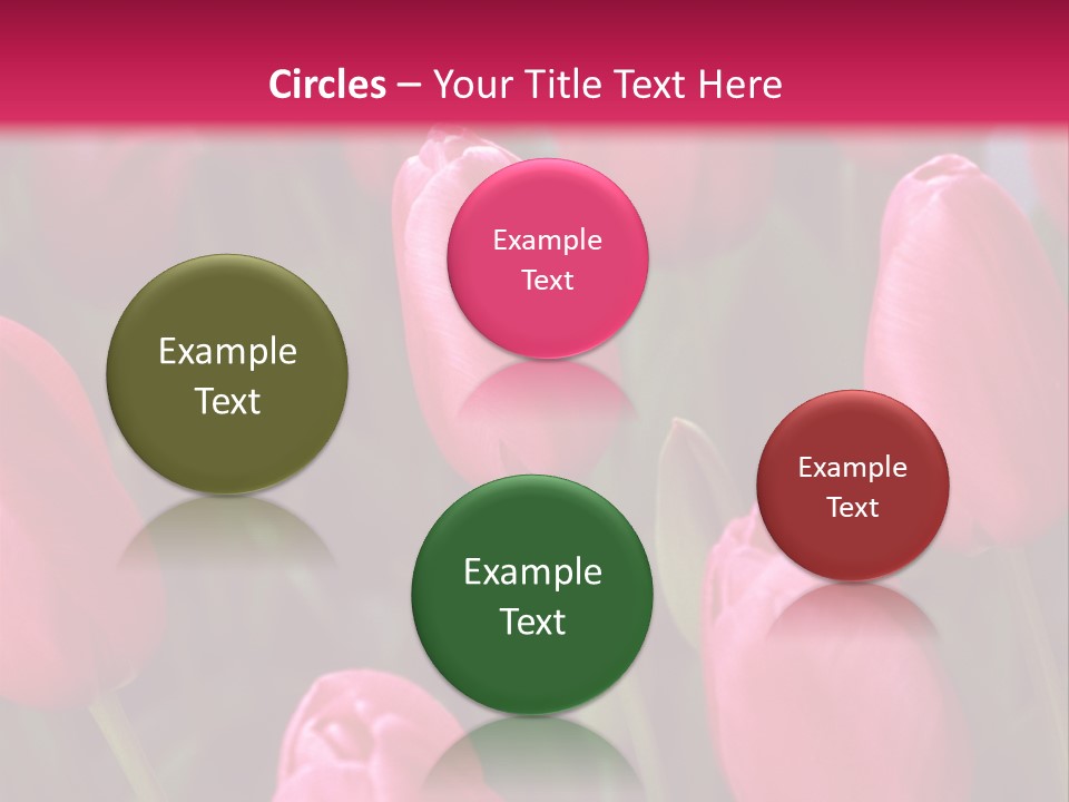 April Natural Tulip PowerPoint Template