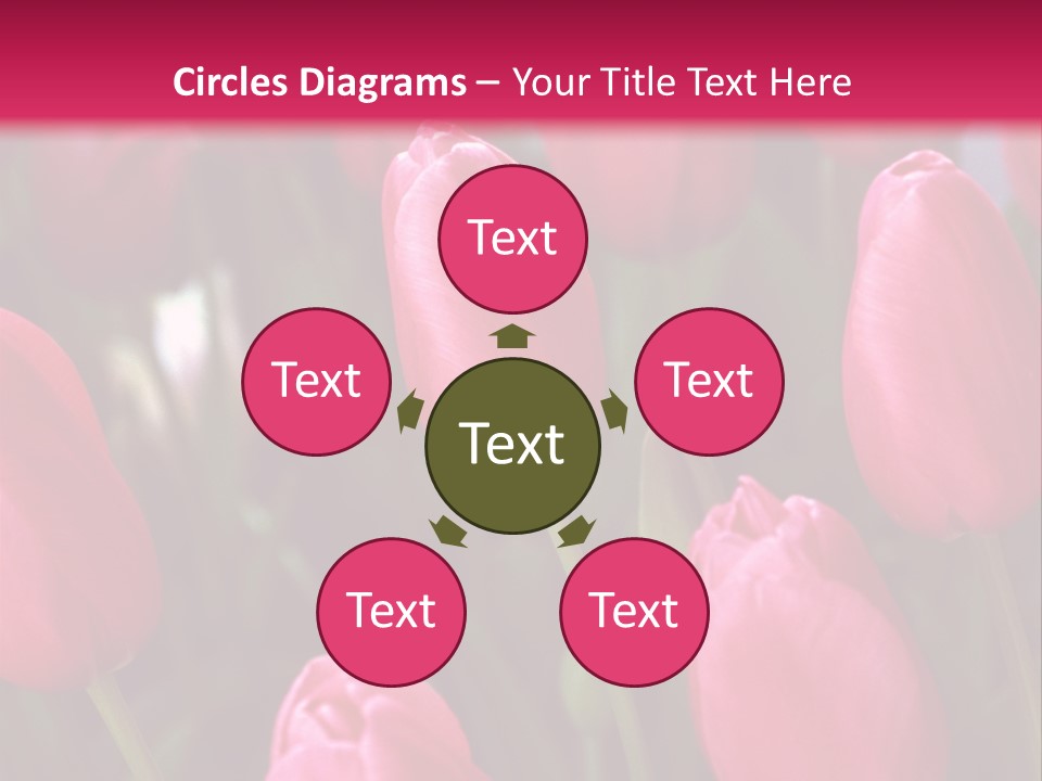 April Natural Tulip PowerPoint Template