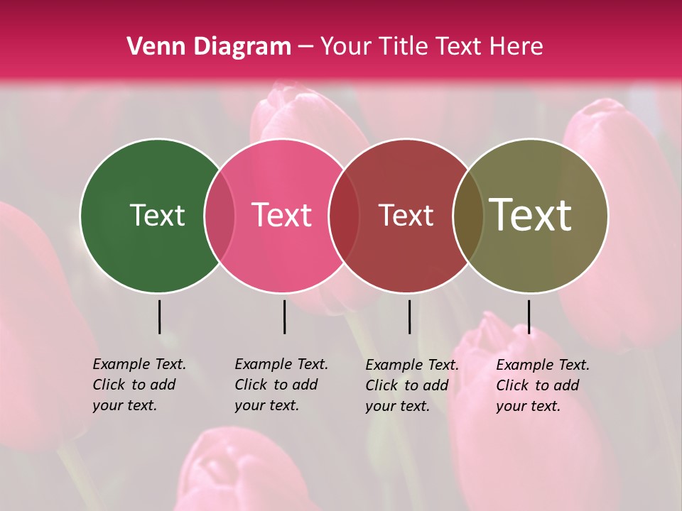 April Natural Tulip PowerPoint Template