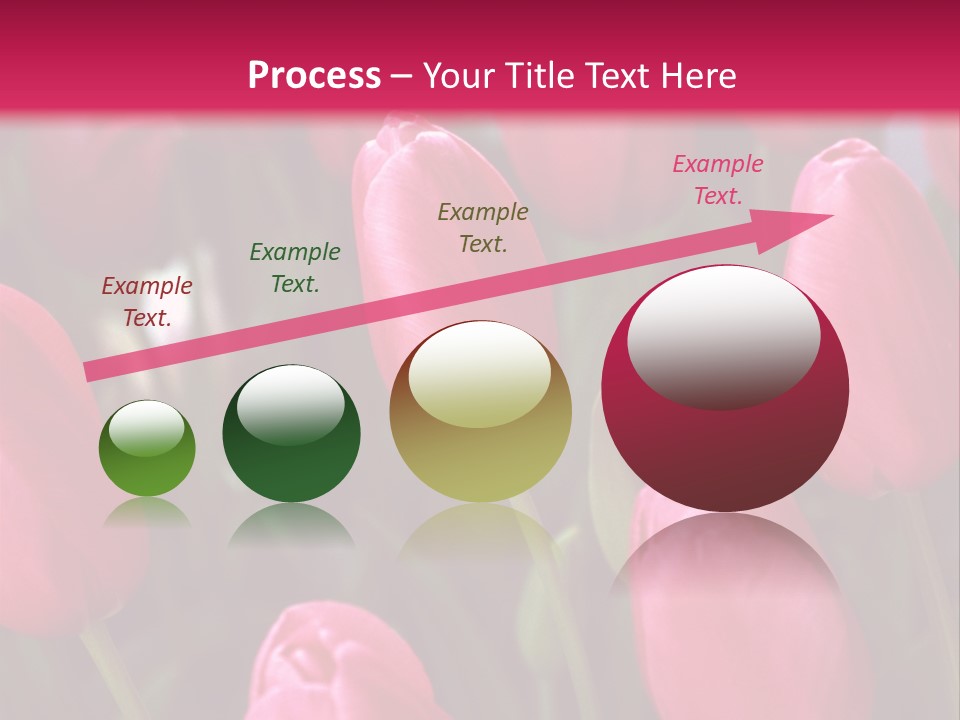 April Natural Tulip PowerPoint Template