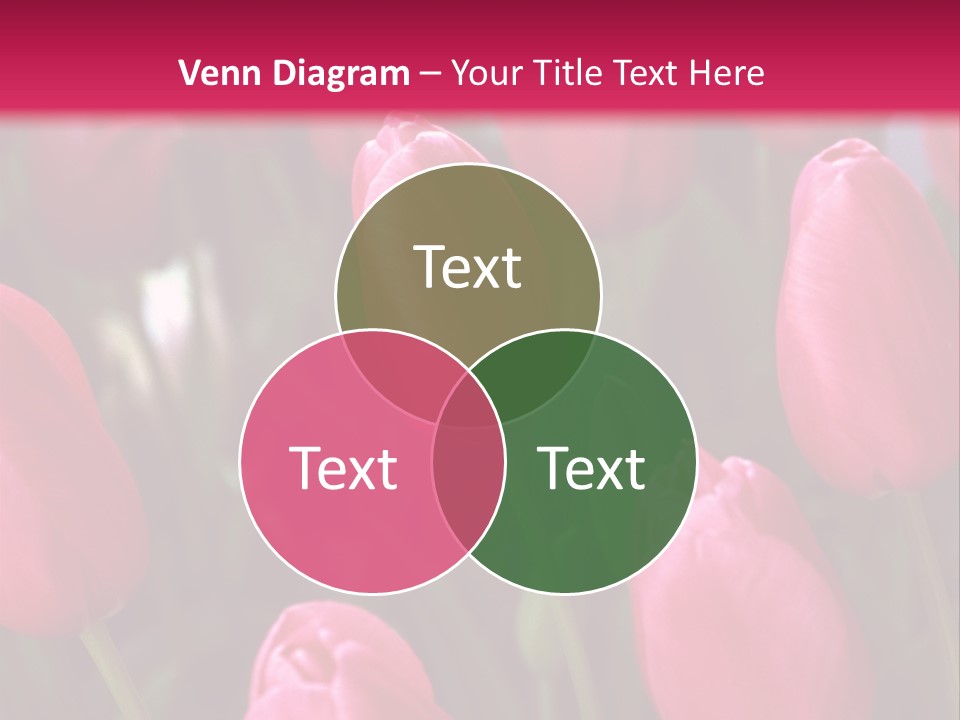 April Natural Tulip PowerPoint Template